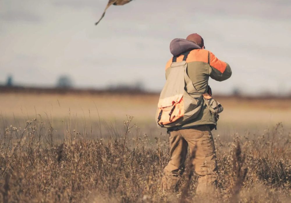 How-to-Hunt-Those-Veteran-Pheasant-3-1600x1290