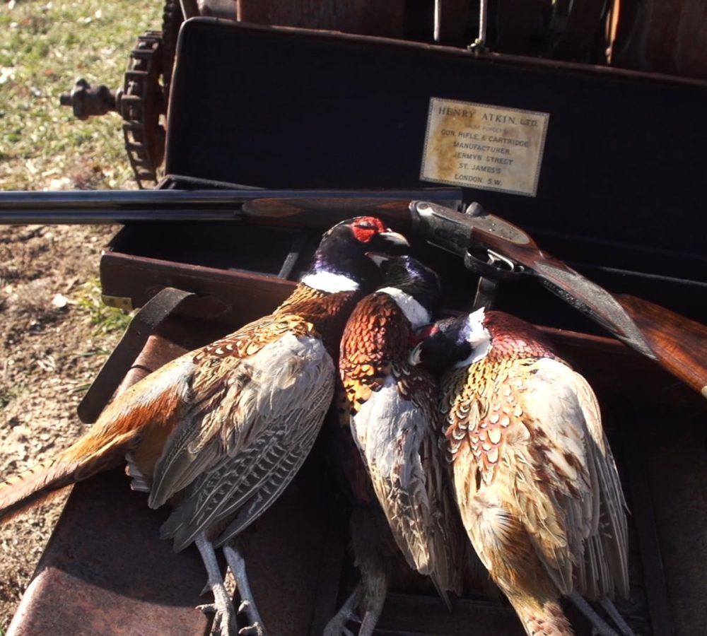 Side-by-Side-Shotgun-upland-bird-hunt